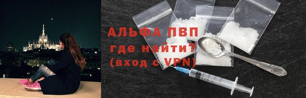 ПСИЛОЦИБИНОВЫЕ ГРИБЫ Белокуриха